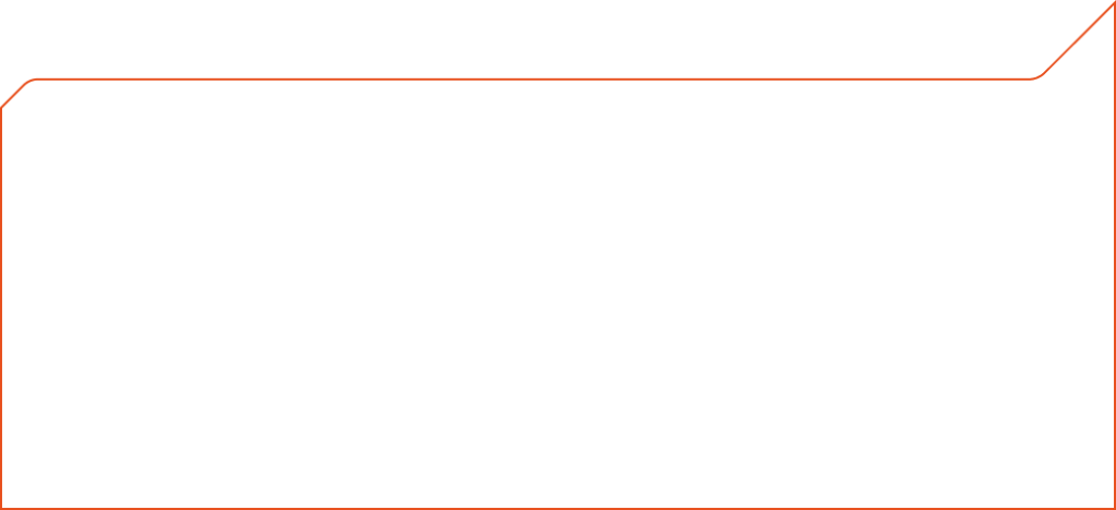 Vector 1
