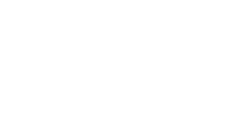 Vector