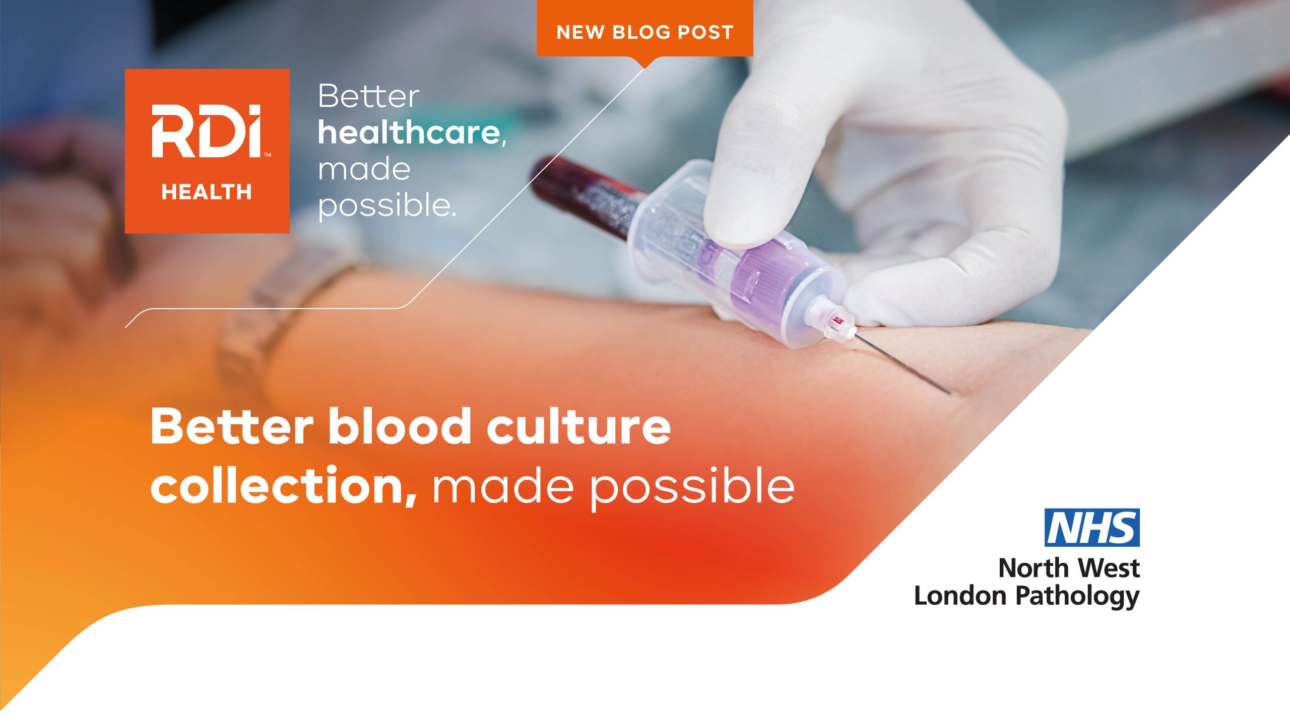 Blog 10.04 NWLP content scaled